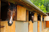 free Stowey stable construction quotes